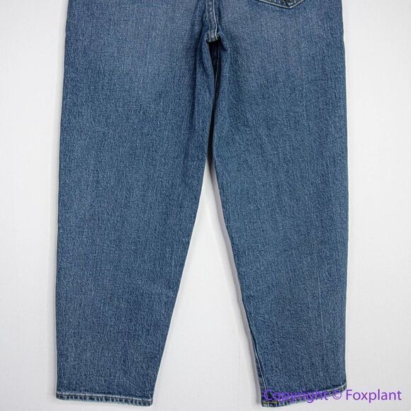 NEW Madewell Balloon Jeans in Ellisboro Wash, 24 - Picture 9 of 15